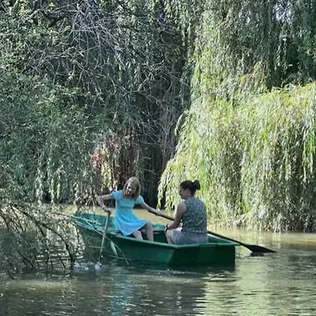 Nature Avec étang, Terrasse Et Pêche No Kill - 2 - Fr-1-410-383 Chalet