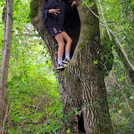 Nature Avec étang, Terrasse Et Pêche No Kill - 2 - Fr-1-410-383 Chalet *