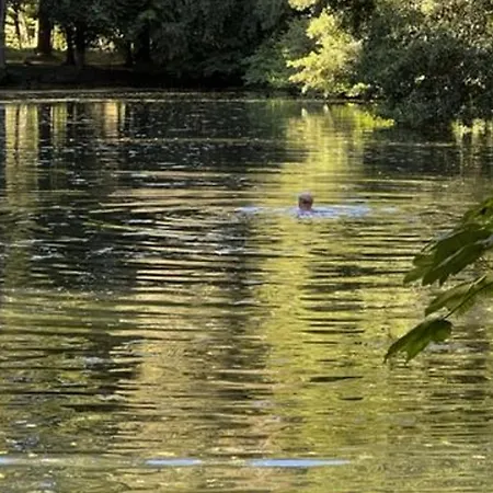 Nature Avec Etang, Terrasse Et Peche No Kill - 2
