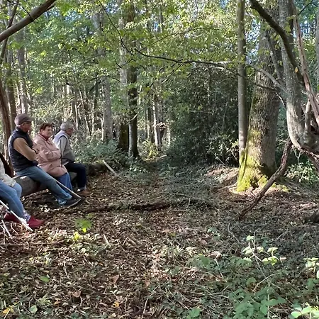 Nature Avec étang, Terrasse Et Pêche No Kill - 2 - Fr-1-410-383 Chalet *