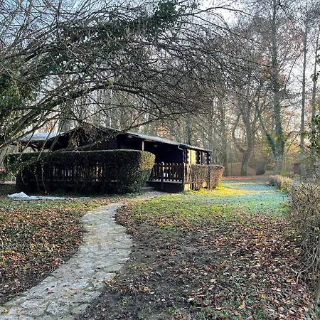 Chalet Nature Avec étang, Terrasse Et Pêche No Kill - 2 - Fr-1-410-383