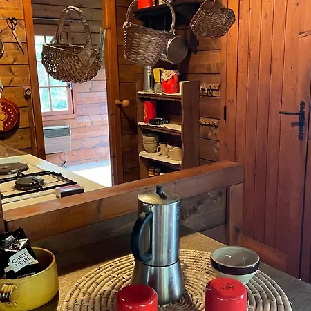 Nature Avec étang, Terrasse Et Pêche No Kill - 2 - Fr-1-410-383 Chalet