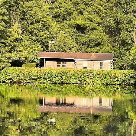 Chalet Nature Avec étang, Terrasse Et Pêche No Kill - 2 - Fr-1-410-383 *