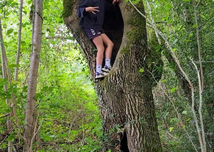 Nature Avec Etang, Terrasse Et Peche No Kill - 2 - Fr-1-410-383 Alpstuga *