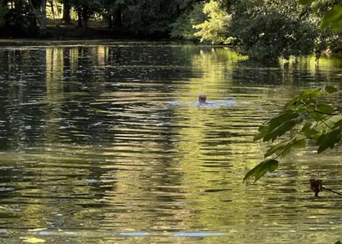 Nature Avec Etang, Terrasse Et Peche No Kill - 2 - Fr-1-410-383