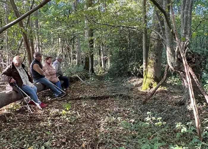 Nature Avec Etang, Terrasse Et Peche No Kill - 2 - Fr-1-410-383 Alpstuga *