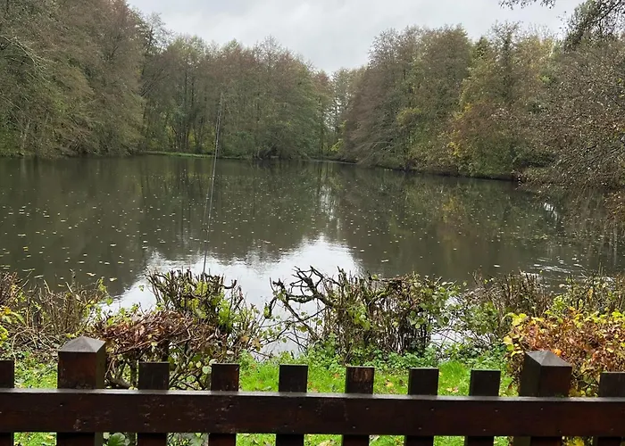 Nature Avec Etang, Terrasse Et Peche No Kill - 2 - Fr-1-410-383 Dehault